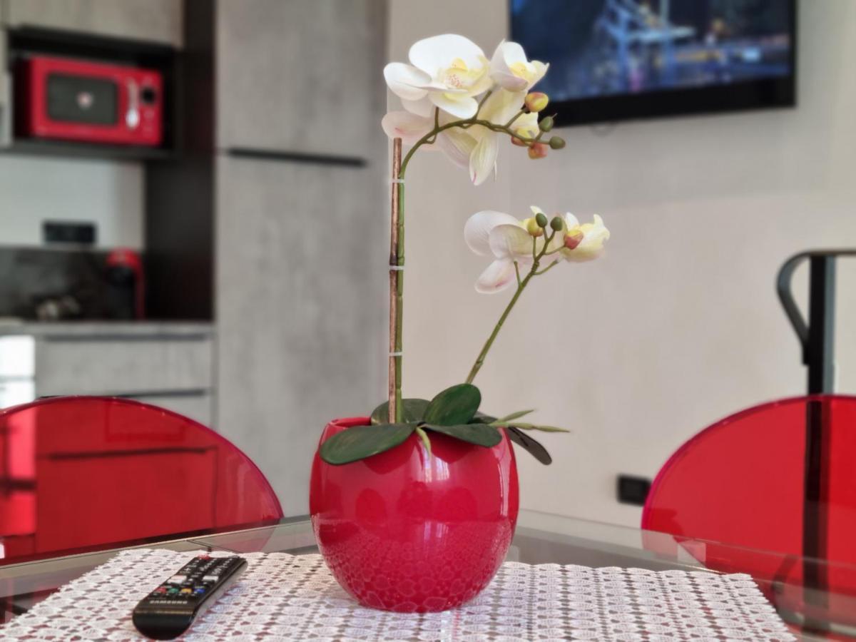 Solino House カポリーヴェリ エクステリア 写真